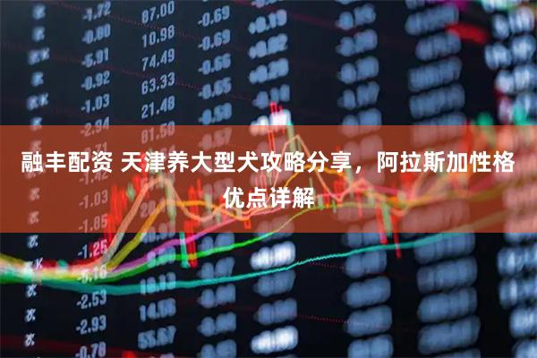 融丰配资 天津养大型犬攻略分享，阿拉斯加性格优点详解