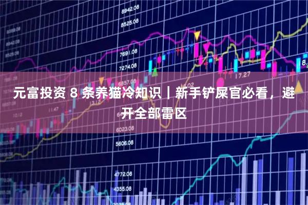 元富投资 8 条养猫冷知识｜新手铲屎官必看，避开全部雷区